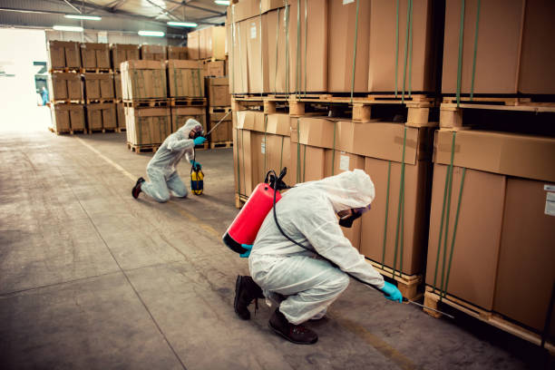 Best Cockroach Control Services  in Village Of The Branch, NY