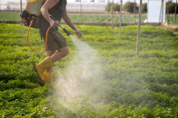 Best Ant Control Services  in Village Of The Branch, NY