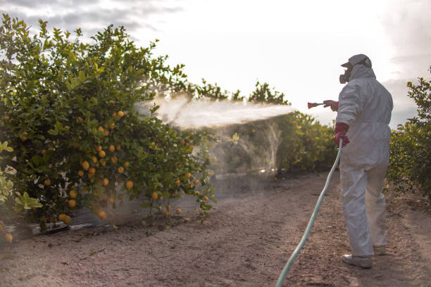 Best Exterminator Services  in Village Of The Branch, NY
