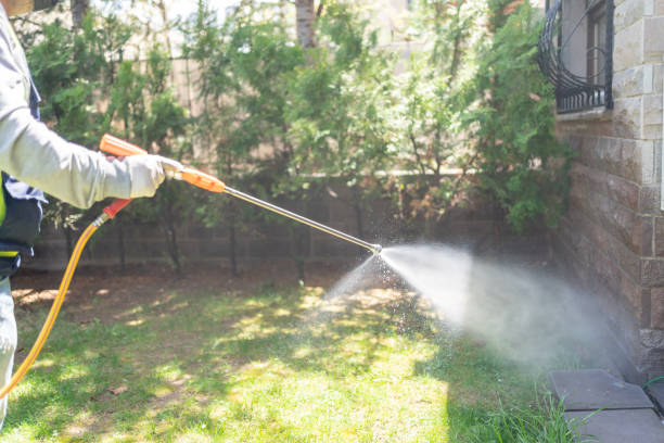 Best Pest Removal Services  in Village Of The Branch, NY