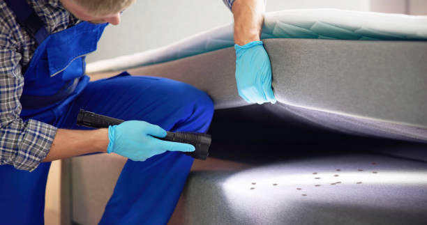 Trusted Village Of The Branch, NY Pest Control Experts