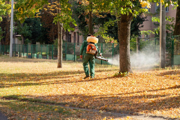 Best Mosquito Control Services  in Village Of The Branch, NY