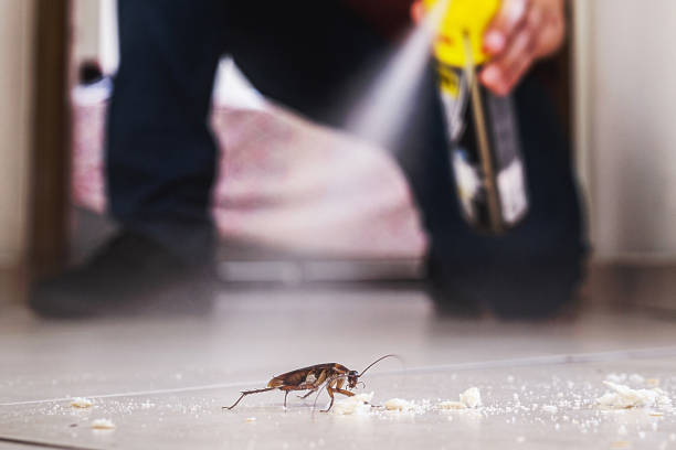 Best Best Pest Control Companies  in Village Of The Branch, NY