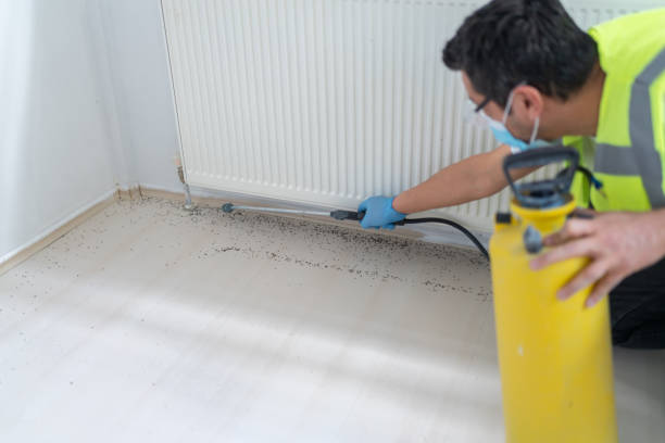 Wasp Removal Services in Village Of The Branch, NY